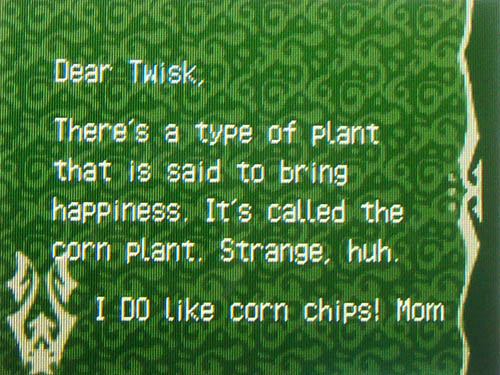 Corn plants are said to bring happiness, my mom says